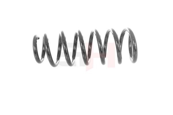 Suspension Spring GH GH-224510