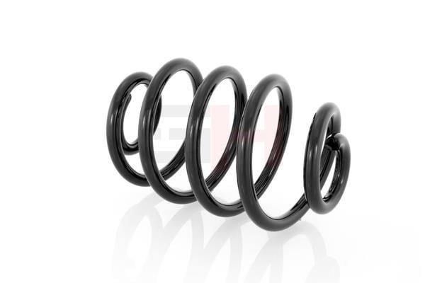 Coil spring suspension Daewoo Cielo: GH225001 GH Rear coil spring