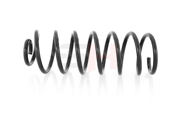 Suspension Spring GH GH-224702
