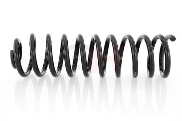 Coil spring GH GH-224703