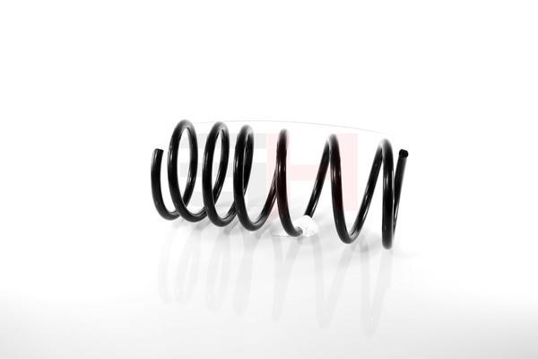 Suspension Spring GH GH-229330