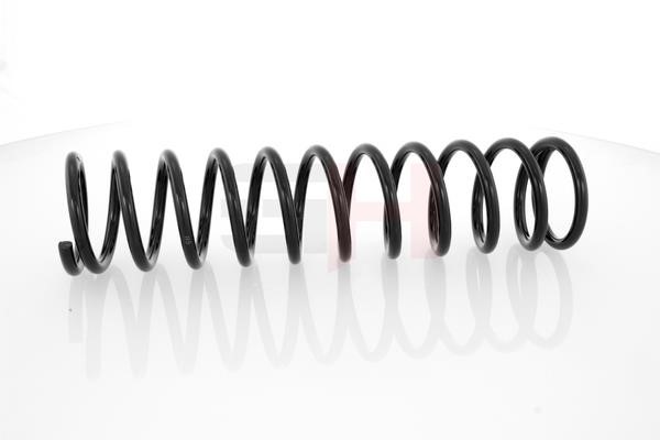 Suspension Spring GH GH-224708