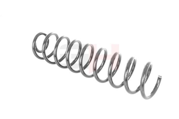 Suspension Spring GH GH-229902