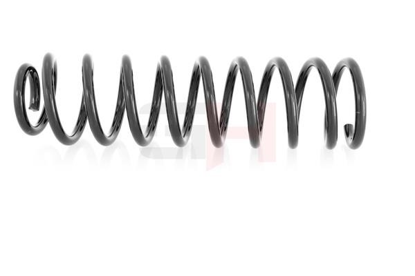 Suspension Spring GH GH-224720