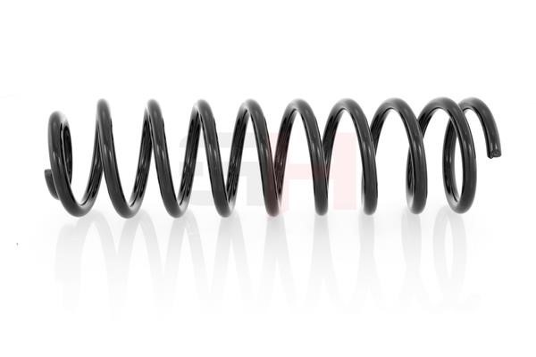 Suspension Spring GH GH-224721
