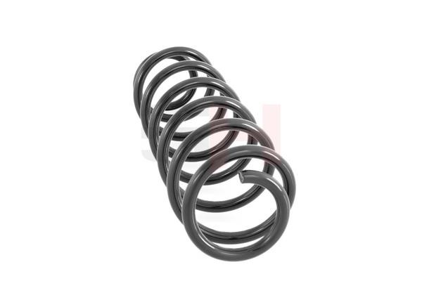 Suspension Spring GH GH-224723