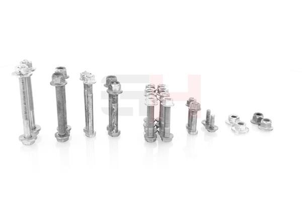 Mounting and Bolting Kit, control/trailing arm GH GH-504799