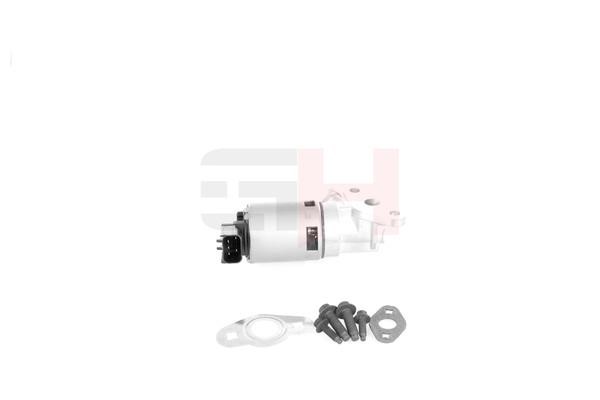 EGR Valve GH GH-739321