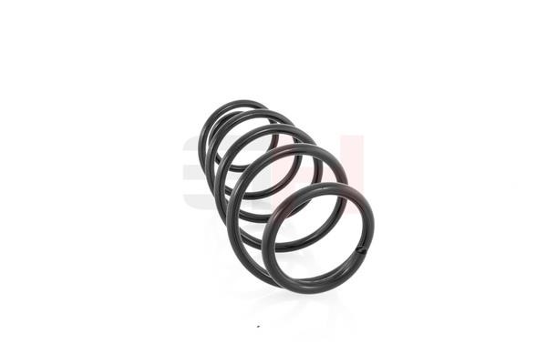 Suspension Spring GH GH-202517