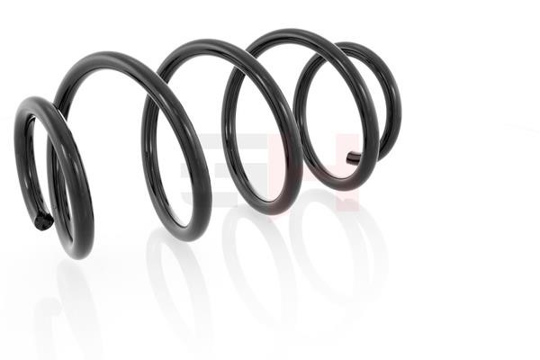 Front coil spring GH GH-203305