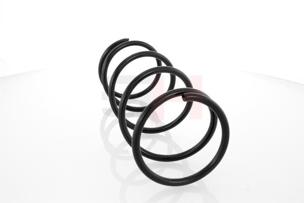 Suspension Spring GH GH-202512