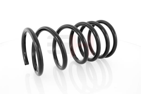 Suspension Spring GH GH-202516