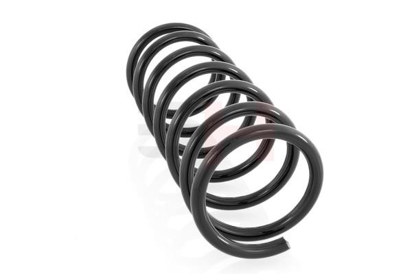 Rear coil spring GH GH-222301