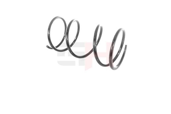 Suspension Spring GH GH-203205