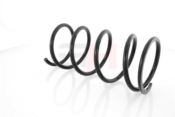 Suspension Spring GH GH-203208