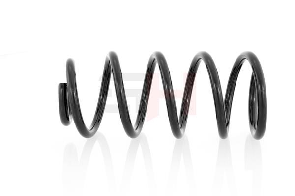 Suspension Spring GH GH-222310