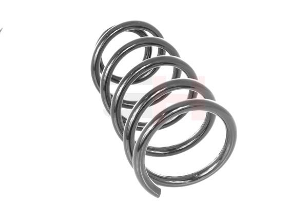 Rear coil spring GH GH-222311