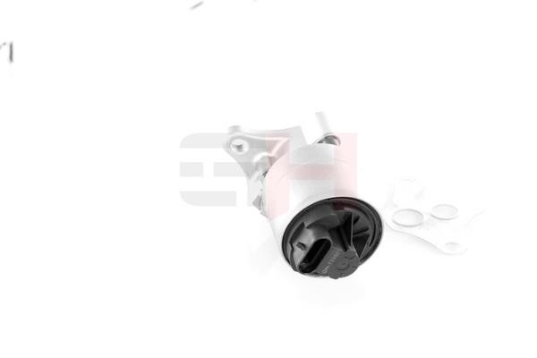EGR Valve GH GH-733601