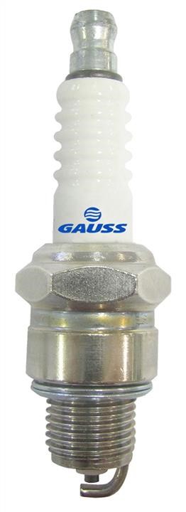 Gauss GV5P81 Spark plug GV5P81