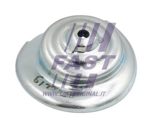 Fast FT12219 Spring plate FT12219