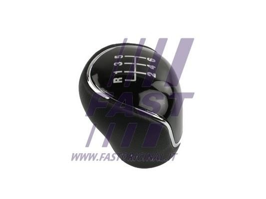 Gear knob Ford Focus: FT09041 Fast Gear knob