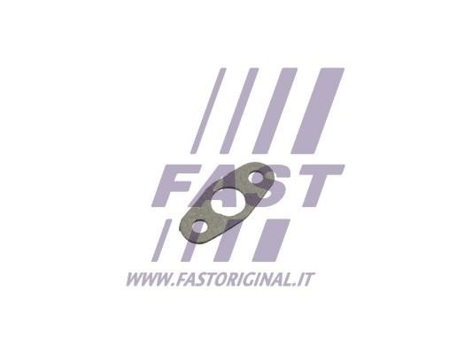 Fast FT48801 Seal, turbine inlet (charger) FT48801