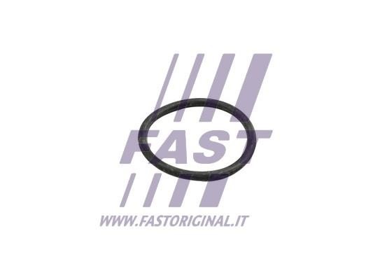 Gasket Fast FT49918