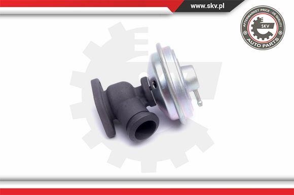 EGR Valve Esen SKV 14SKV203