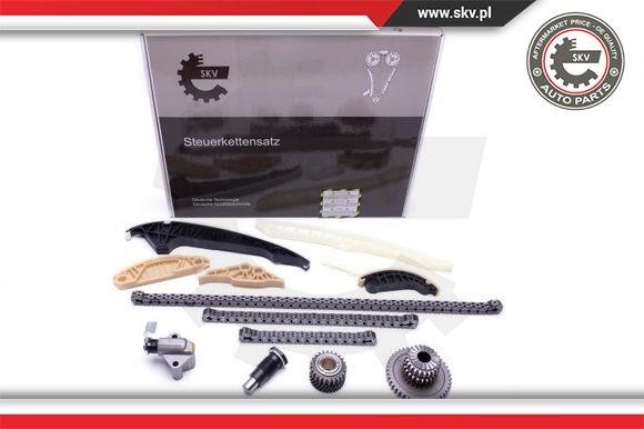 Esen SKV 21SKV163 Timing chain kit 21SKV163