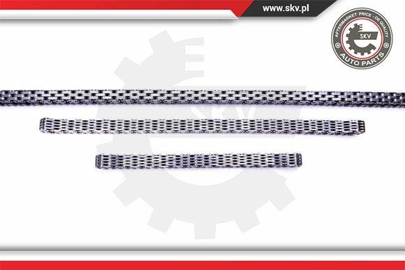 Timing chain kit Esen SKV 21SKV163