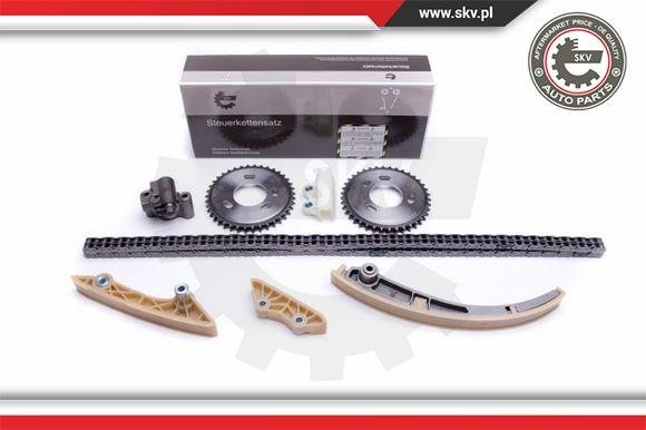 Esen SKV 21SKV245 Timing chain kit 21SKV245