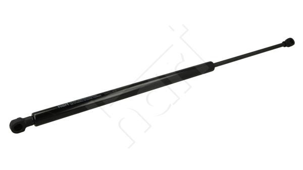 813943 Hart Tailgate strut