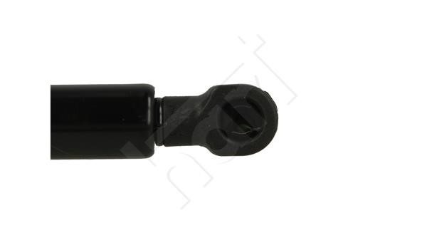 Tailgate strut Hart 813 943