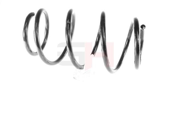 Suspension Spring GH GH-201516