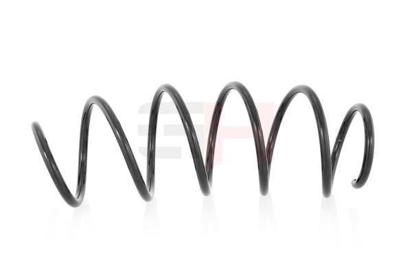GH201902 GH Suspension Spring