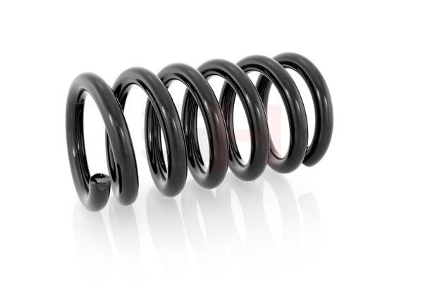 Front coil spring GH GH-202506
