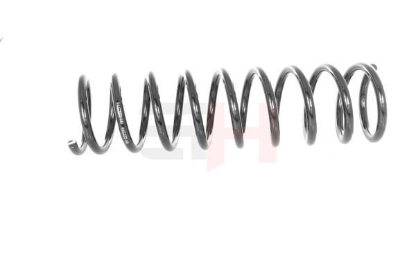 Suspension Spring GH GH-221516