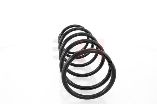 Front coil spring GH GH-202507