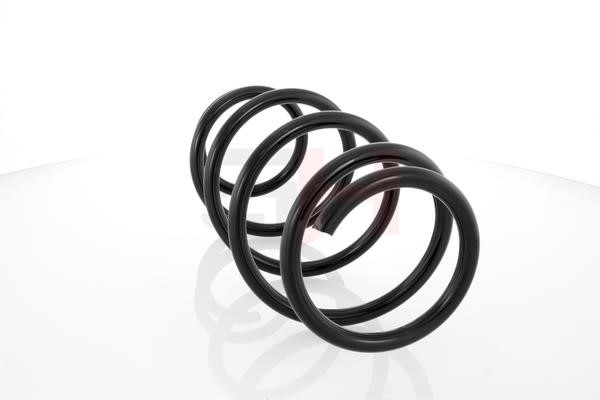 Front coil spring GH GH-203925