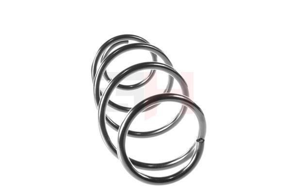 Suspension Spring GH GH-203931