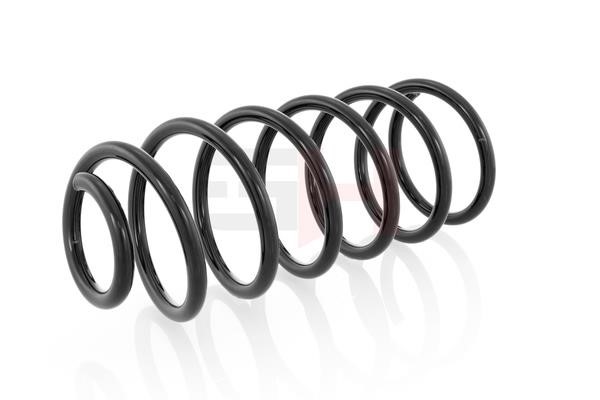 Front coil spring GH GH-204704