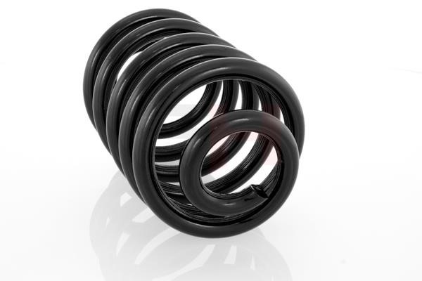 Suspension Spring GH GH-223607