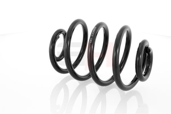 Suspension Spring GH GH-223608