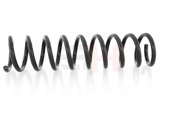 Suspension Spring GH GH-221504