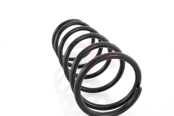 Suspension Spring GH GH-224401