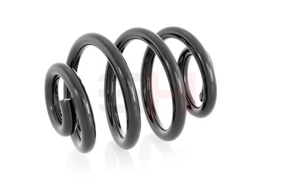 Suspension Spring GH GH-224706