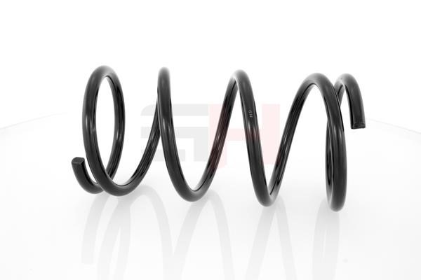 Suspension Spring GH GH-202515