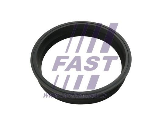 Fast FT48501 Seal, fuel sender unit FT48501