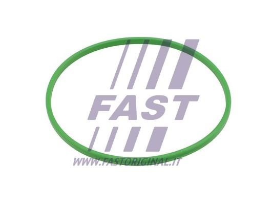 FT48503 Fast Fuel pump gasket