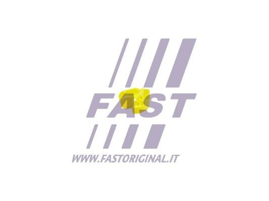 Fast FT96312 Clip, trim/protective strip FT96312